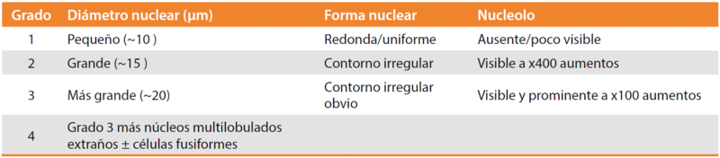 Fitxer:Grado de Fuhrman.png