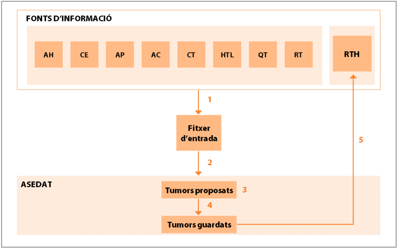Fitxer:Funcionament d'ASEDAT.png