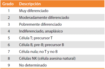Grado de diferenciación.png